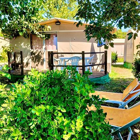 International Glamping Lago Di Bracciano Trevignano Romano Dış mekan fotoğraf