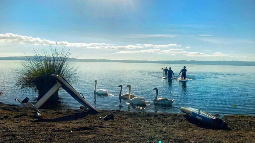 International Glamping Lago Di Bracciano Trevignano Romano Dış mekan fotoğraf