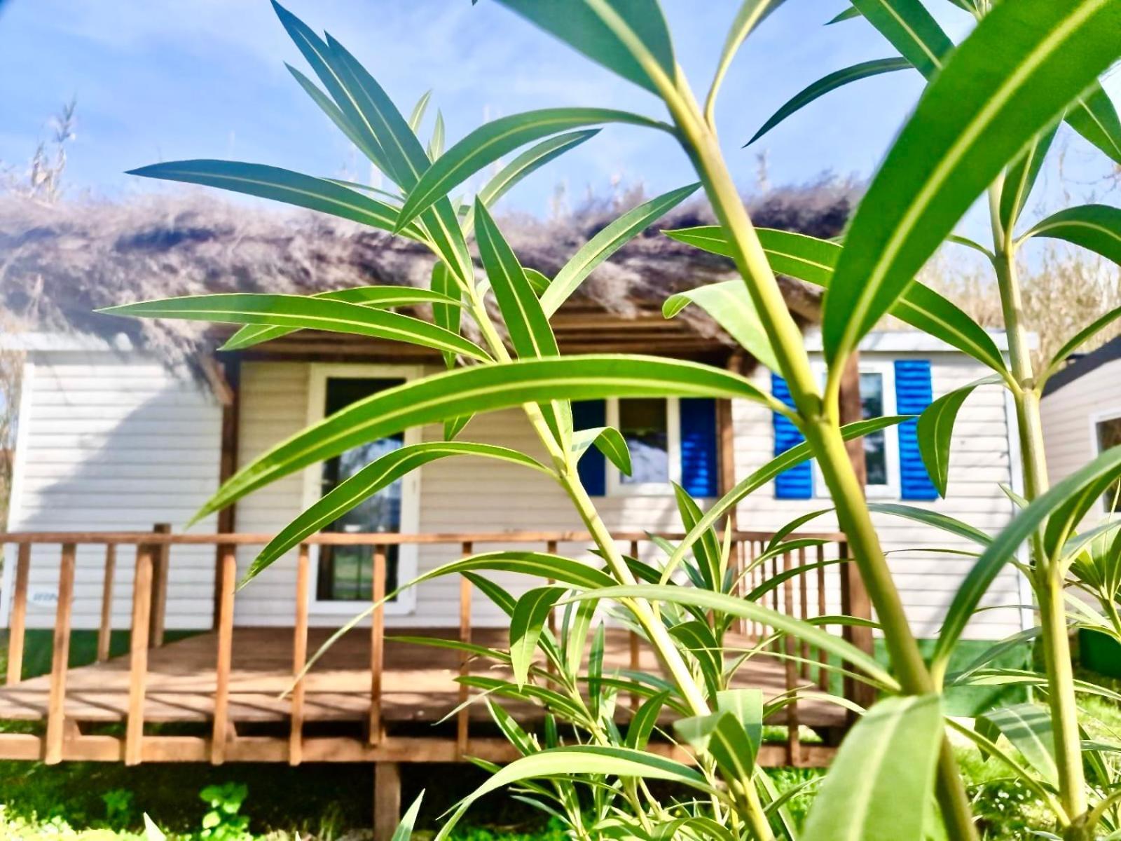 International Glamping Lago Di Bracciano Trevignano Romano Dış mekan fotoğraf