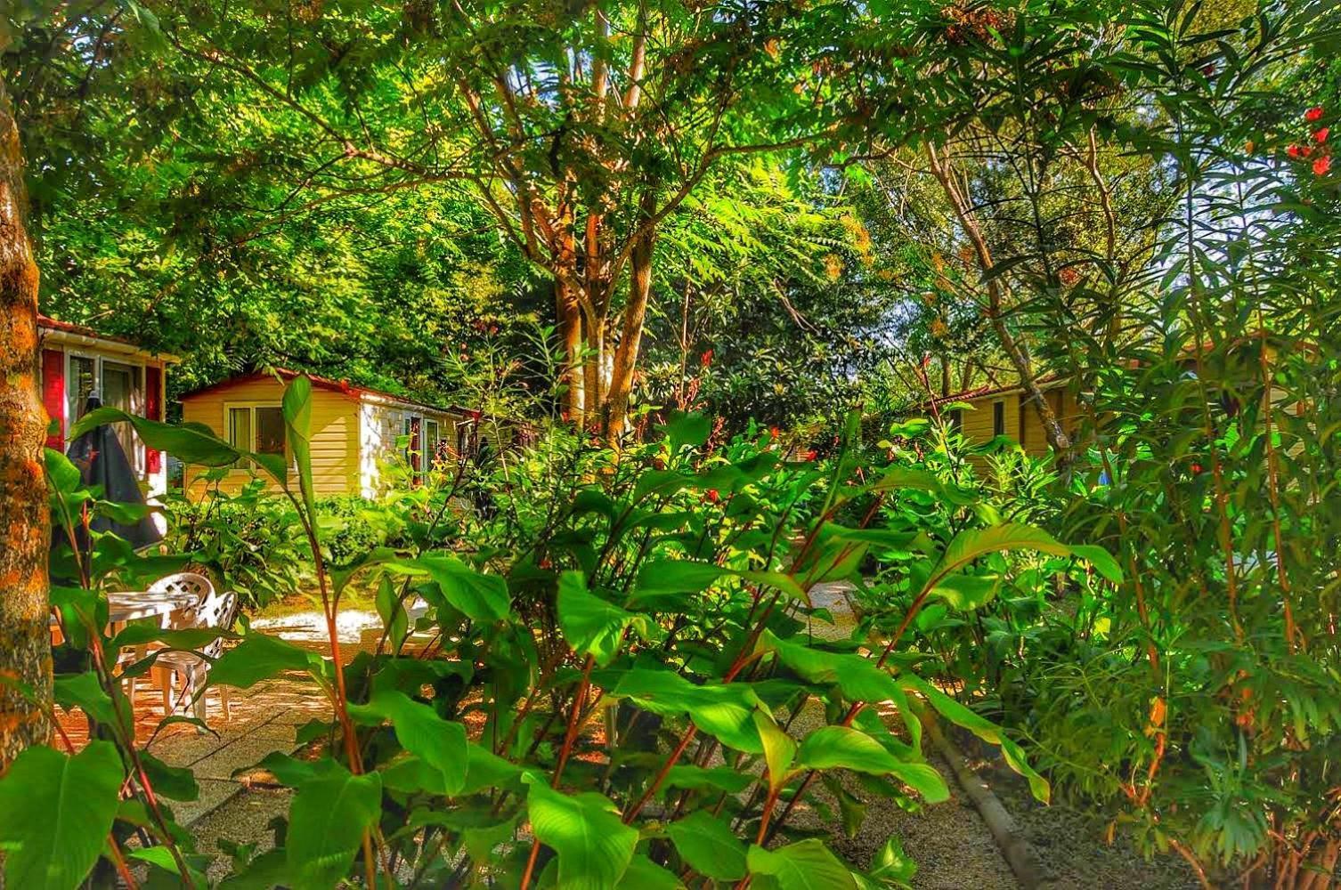 International Glamping Lago Di Bracciano Trevignano Romano Dış mekan fotoğraf