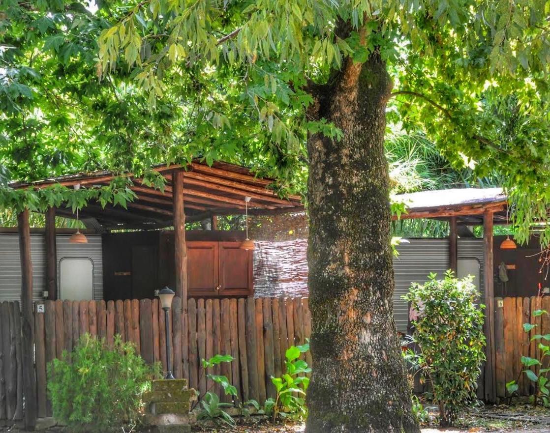 International Glamping Lago Di Bracciano Trevignano Romano Dış mekan fotoğraf
